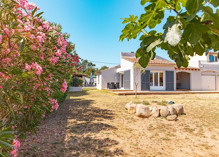 Lisa Porto-vecchio פורטו-וישיו